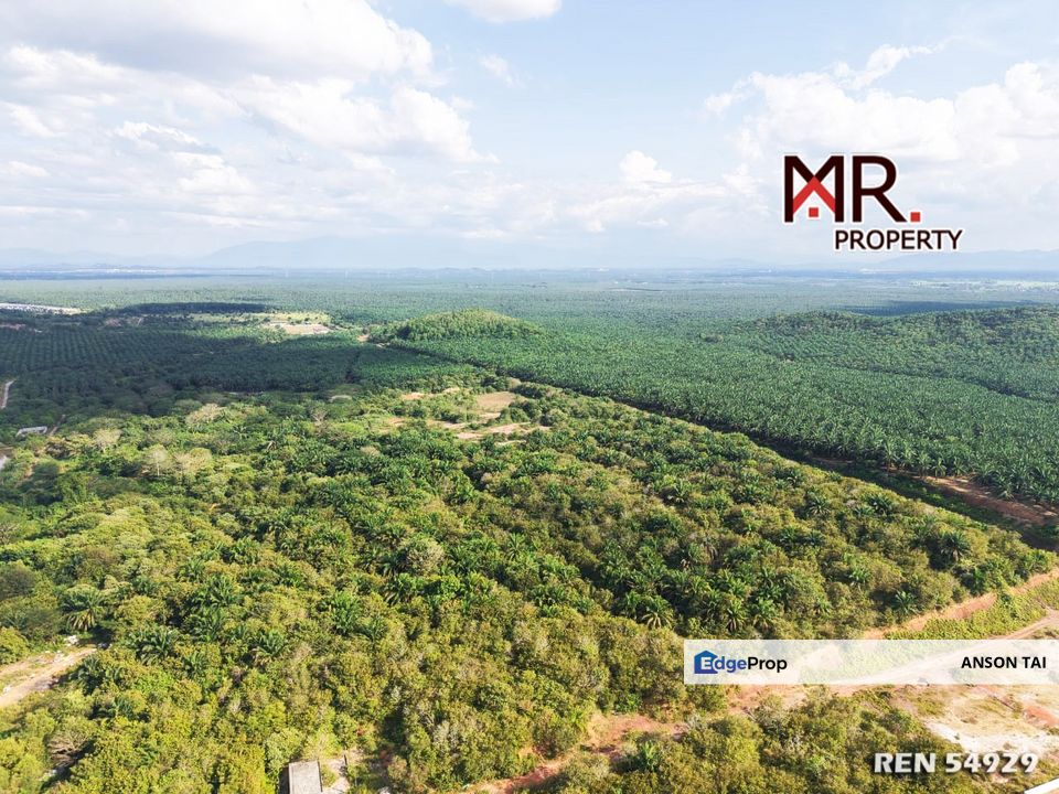 GOOD INVESTMENT Zoning Residential Land Sungai Petani FOR SALE, Kedah, Sungai Petani