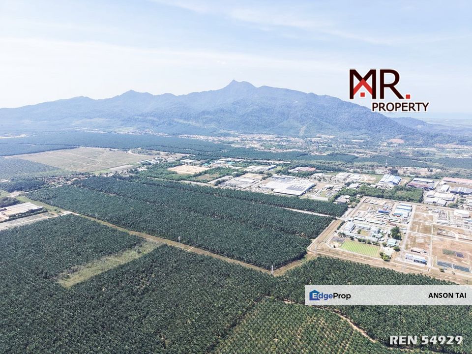 ZONING INDUSTRIAL LAND Kawasan Perindustrian Gurun FOR SALE, Kedah, Gurun