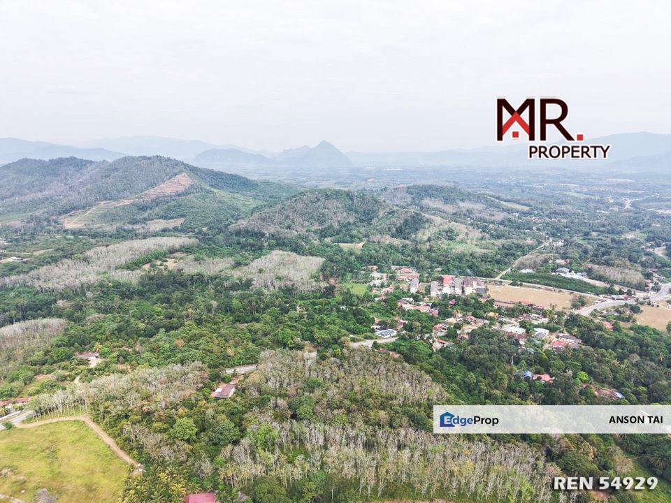 EASY ACCESS Oil Palm Farm Baling FOR SALE, Kedah, Baling