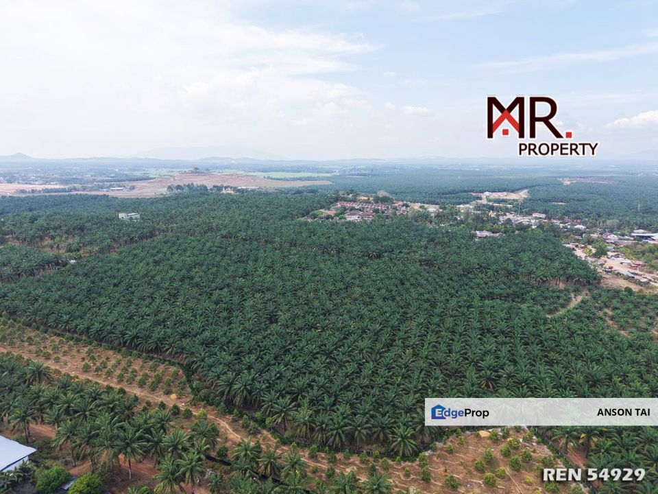 ZONING RESIDENTIAL LAND Padang Serai FOR SALE, Kedah, Kulim