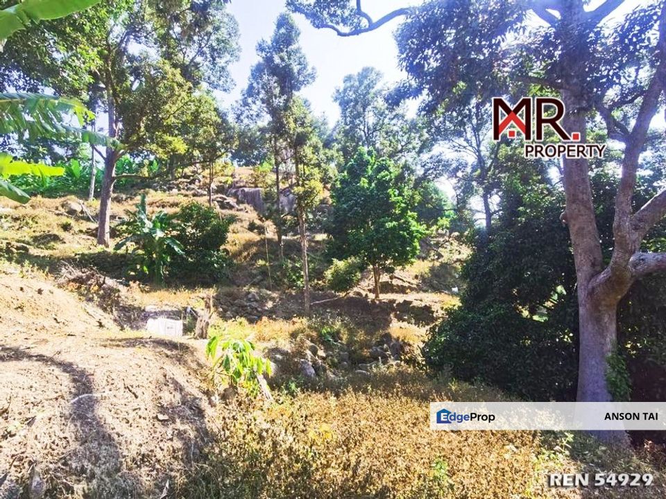 GOOD INVESTMENT Orchard Land Balik Pulau Penang FOR SALE, Penang, Balik Pulau