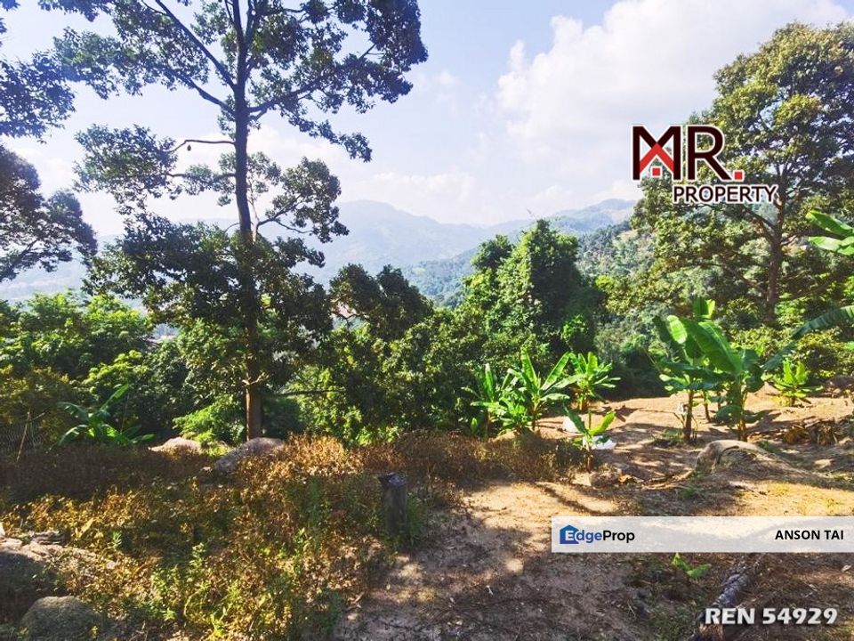 GOOD INVESTMENT Orchard Land Balik Pulau Penang FOR SALE, Penang, Balik Pulau