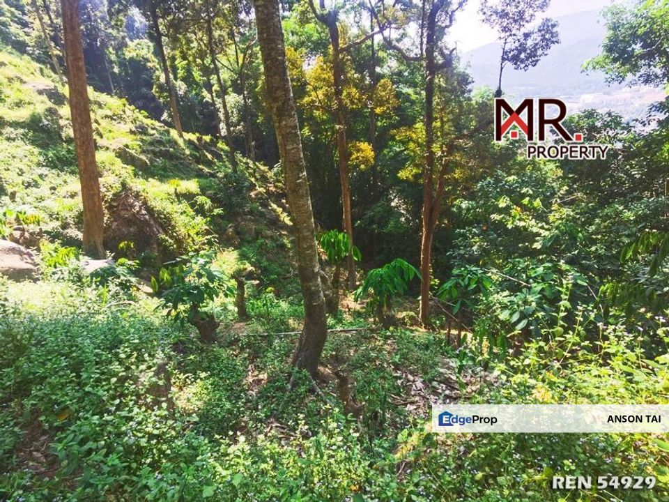 GOOD INVESTMENT Orchard Land Balik Pulau Penang FOR SALE, Penang, Balik Pulau