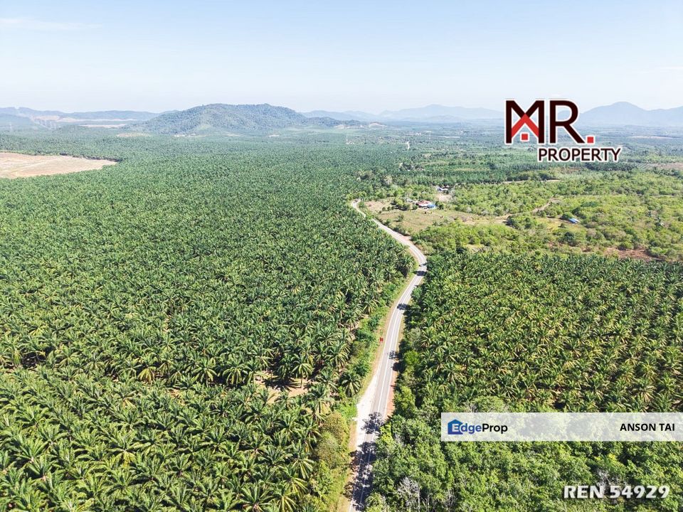 NEAR MAIN ROAD Industrial Land Bukit Selambau FOR SALE, Kedah, Sungai Petani