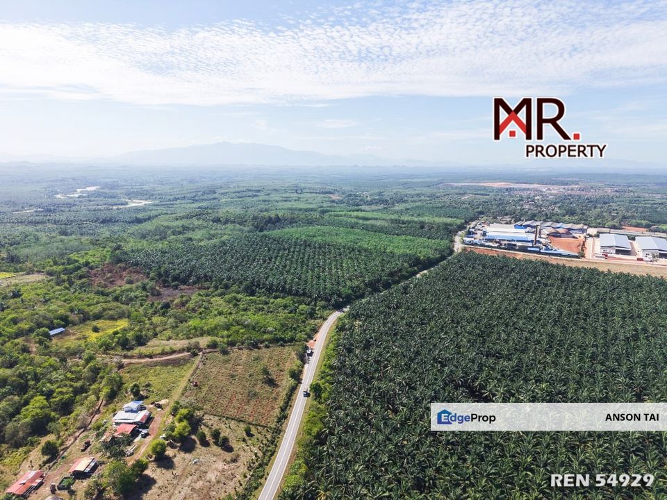 MANY ACCESS Agriculture Land Bukit Selambau FOR SALE, Kedah, Sungai Petani