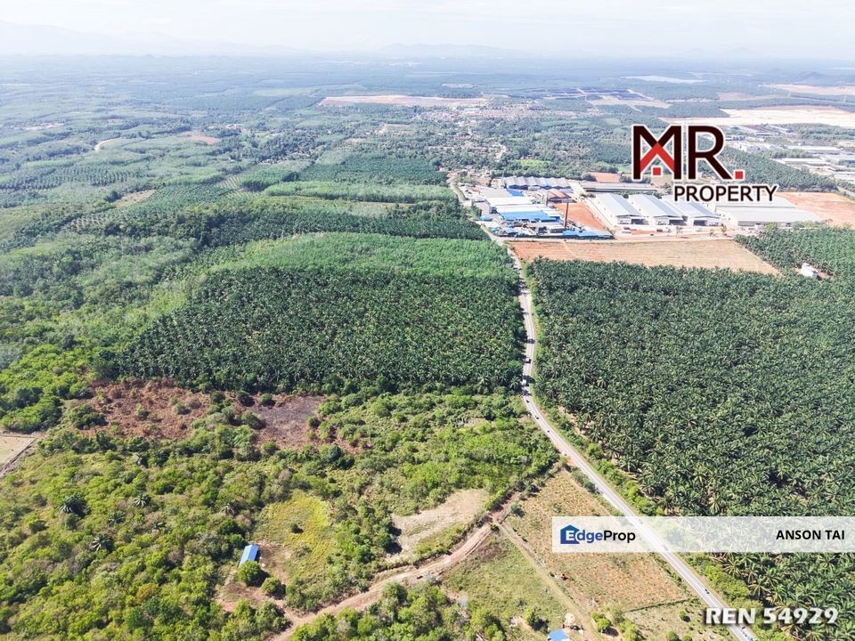 MANY ACCESS Agriculture Land Bukit Selambau FOR SALE, Kedah, Sungai Petani