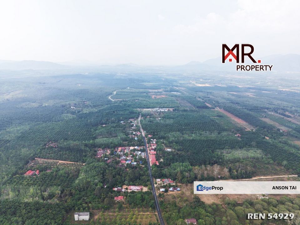 PRIME AREA Oil Palm Farm Bukit Selambau FOR SALE, Kedah, Sungai Petani
