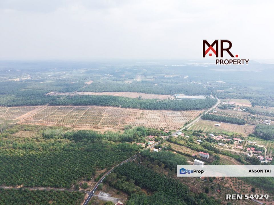 PRIME AREA Oil Palm Farm Bukit Selambau FOR SALE, Kedah, Sungai Petani