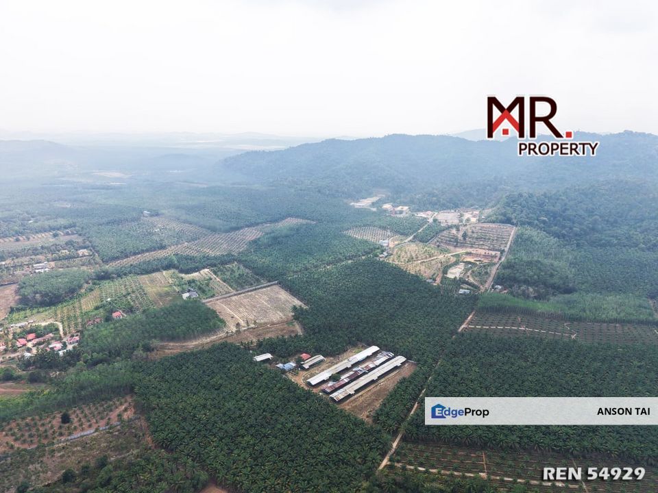 PRIME AREA Oil Palm Farm Bukit Selambau FOR SALE, Kedah, Sungai Petani
