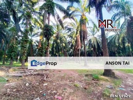 STRATEGIC AREA Agriculture Land Sungai Petani FOR SALE, Kedah, Sungai Petani