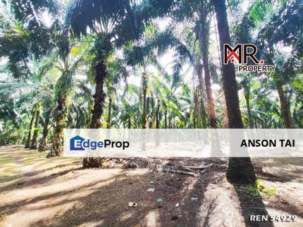 MANY ACCESS Plantation Agriculture Land Bedong FOR SALE, Kedah, Sungai Petani