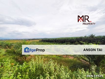 EASY ACCESS Agriculture Land Bukit Selambau FOR SALE, Kedah, Sungai Petani