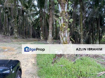 SEELONG SENAI JOHOR 7.5 acre AGRICULTURE LAND for SALE, Johor, Senai