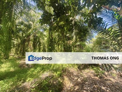 2.66 Acres Agriculture Land at Ayer Baloi, Pontian , Johor, Pontian