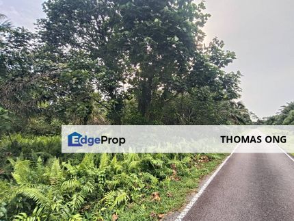 Kukup Agriculture Land For Sale, Johor, Pontian