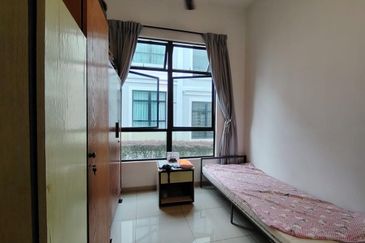 The Rainforest @ Eco Tropics