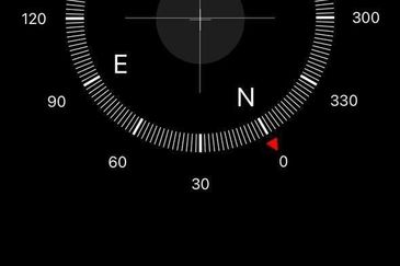 The Rainforest @ Eco Tropics