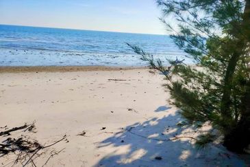 10 ACRES SEASIDE BEACH LAND Port Dickson Negeri Sembilan Hotel Resort 10 Ekar