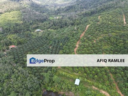 FREEHOLD 25 ACRES LAND TANAH Agricultural Dangi Johol Kuala Pilah Negeri Sembilan, Negeri Sembilan, Kuala Pilah