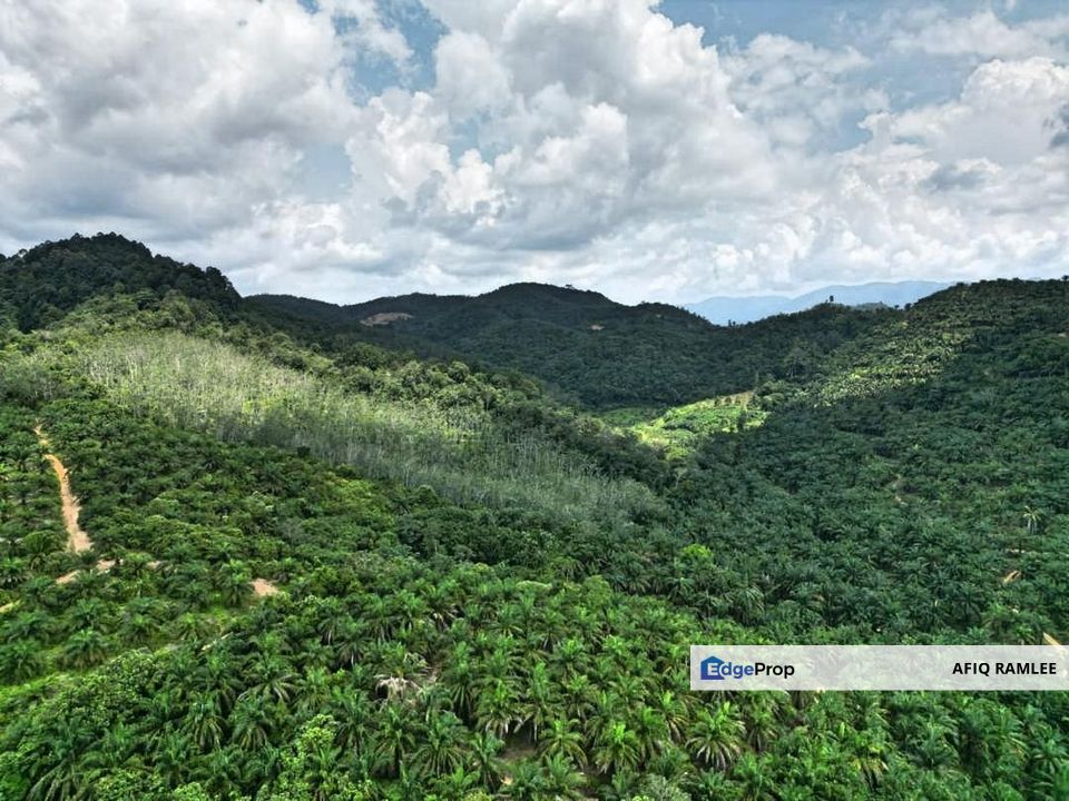 FREEHOLD 25 ACRES LAND TANAH Agricultural Dangi Johol Kuala Pilah Negeri Sembilan, Negeri Sembilan, Kuala Pilah