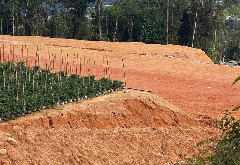 150 EKAR | 60 HEKTAR Vegetable Farm Land Lojing Kelantan Cameron Highlands Pahang