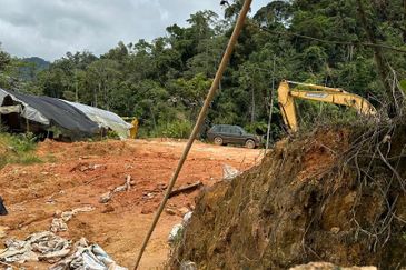 150 EKAR | 60 HEKTAR Vegetable Farm Land Lojing Kelantan Cameron Highlands Pahang