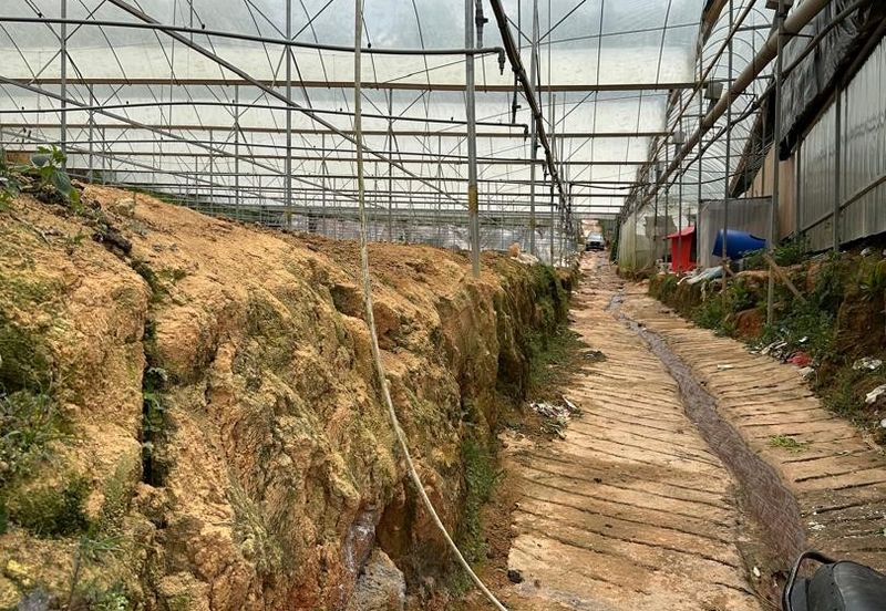 150 EKAR | 60 HEKTAR Vegetable Farm Land Lojing Kelantan Cameron Highlands Pahang