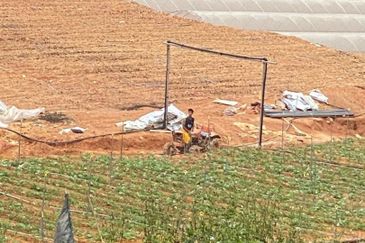 150 EKAR | 60 HEKTAR Vegetable Farm Land Lojing Kelantan Cameron Highlands Pahang