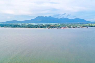 FREEHOLD 33 ACRES🔥 Pantai Teluk Nipah Pantai Merdeka Kuala Muda Kedah