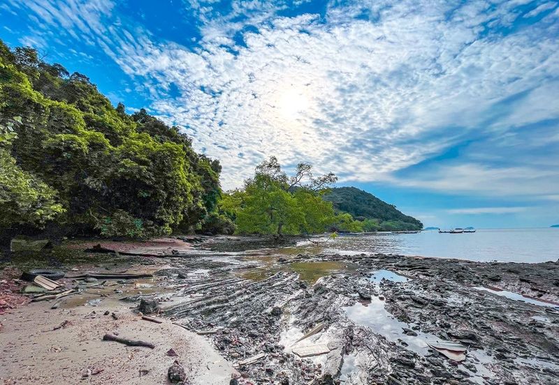 FREEHOLD 33 ACRES🔥 Pantai Teluk Nipah Pantai Merdeka Kuala Muda Kedah