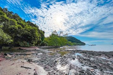 FREEHOLD 33 ACRES🔥 Pantai Teluk Nipah Pantai Merdeka Kuala Muda Kedah