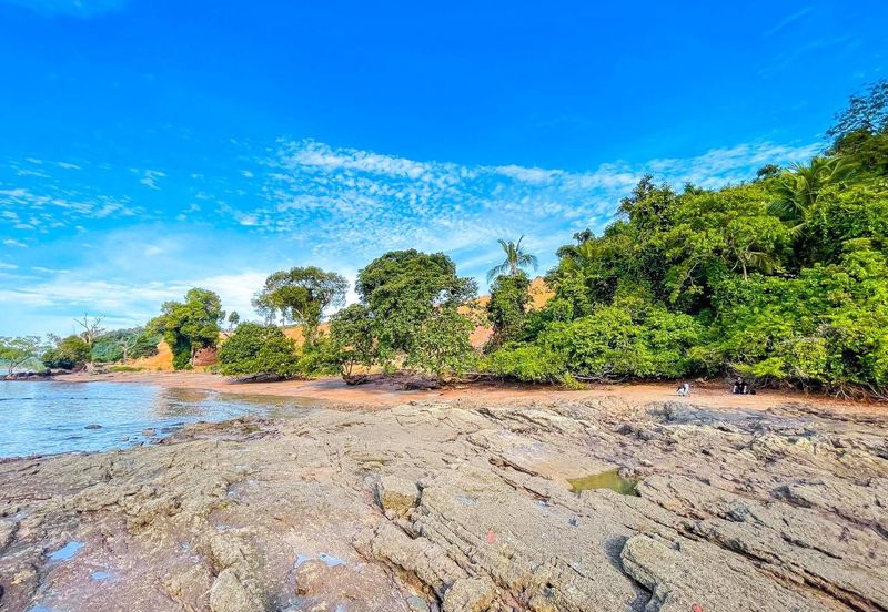 FREEHOLD 33 ACRES🔥 Pantai Teluk Nipah Pantai Merdeka Kuala Muda Kedah