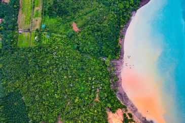 FREEHOLD 33 ACRES🔥 Pantai Teluk Nipah Pantai Merdeka Kuala Muda Kedah