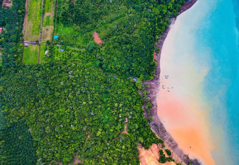 FREEHOLD 33 ACRES🔥 Pantai Teluk Nipah Pantai Merdeka Kuala Muda Kedah