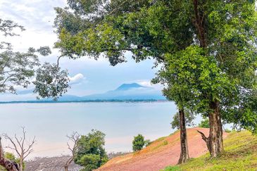 FREEHOLD 33 ACRES🔥 Pantai Teluk Nipah Pantai Merdeka Kuala Muda Kedah