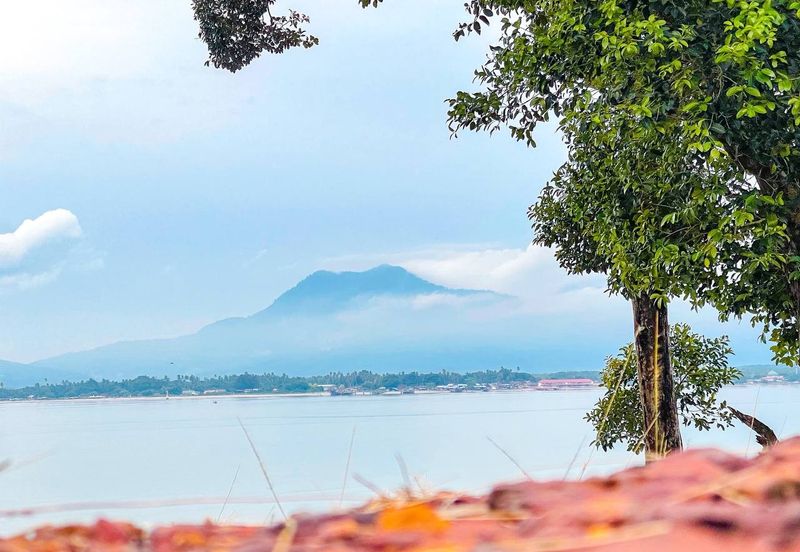 FREEHOLD 33 ACRES🔥 Pantai Teluk Nipah Pantai Merdeka Kuala Muda Kedah