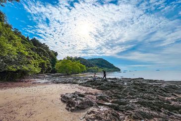 FREEHOLD 33 ACRES🔥 Pantai Teluk Nipah Pantai Merdeka Kuala Muda Kedah