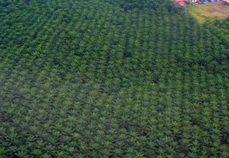 Bandar Satelit Muadzam Shah