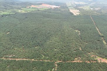 Bandar Satelit Muadzam Shah