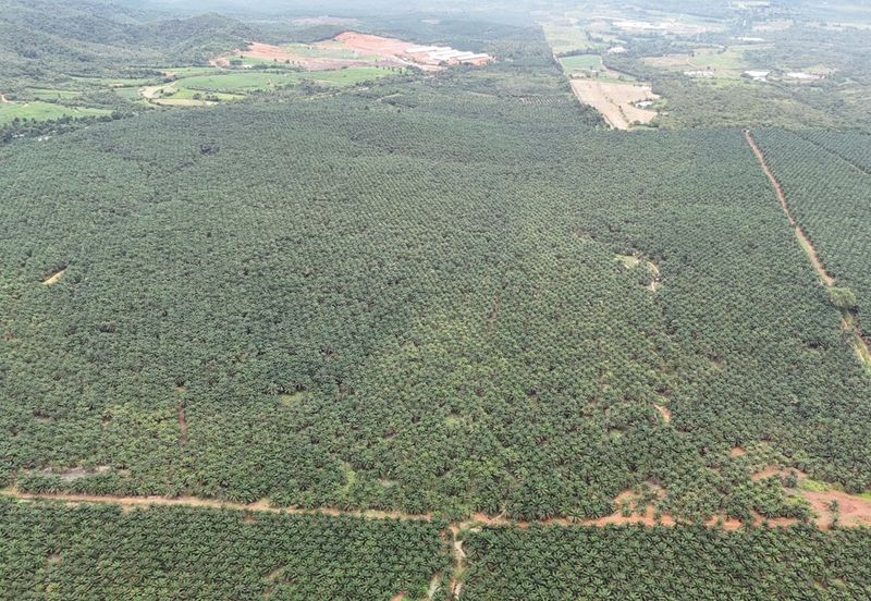 Bandar Satelit Muadzam Shah