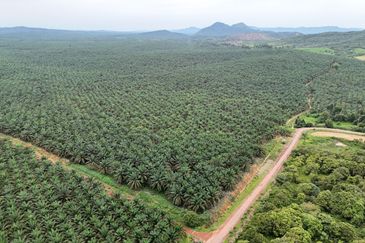 Bandar Satelit Muadzam Shah