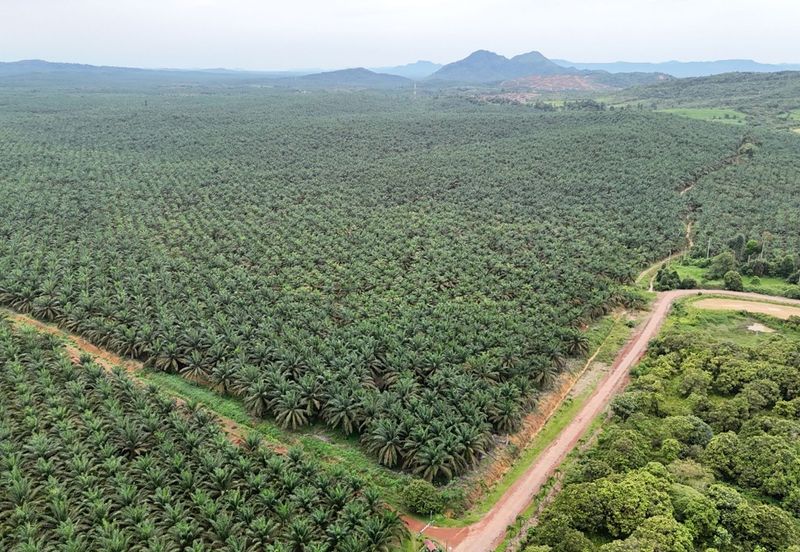 Bandar Satelit Muadzam Shah