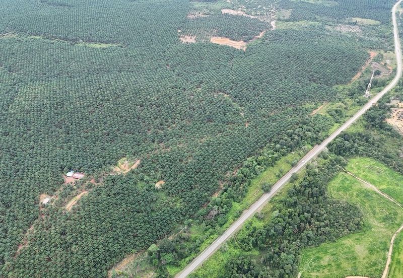 Bandar Satelit Muadzam Shah