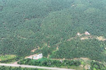 Bandar Satelit Muadzam Shah