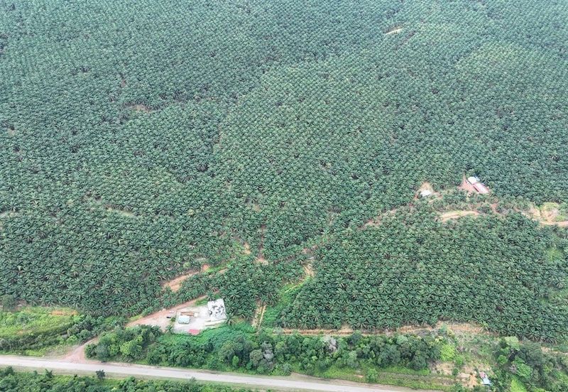 Bandar Satelit Muadzam Shah