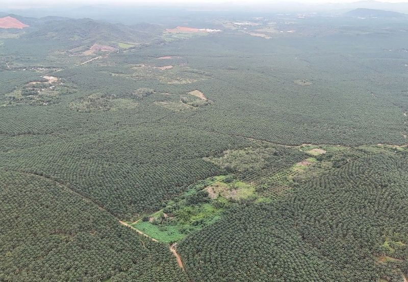 Bandar Satelit Muadzam Shah