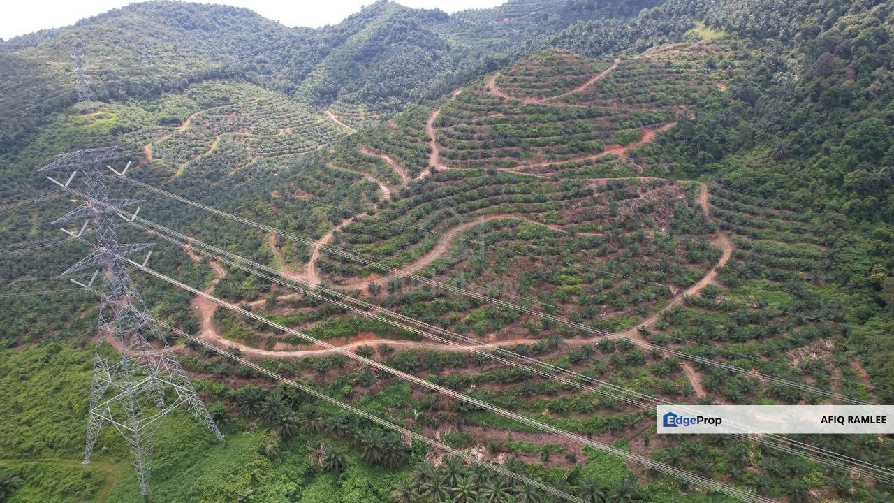 136.7 EKAR | 55 HEKTAR 🔥 Palm Oil Estate Sawit Dangi Johol Kuala Pilah Negeri Sembilan, Negeri Sembilan, Kuala Pilah