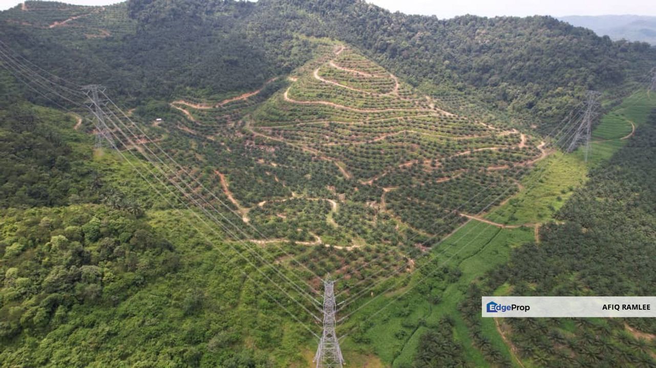 136.7 EKAR | 55 HEKTAR 🔥 Palm Oil Estate Sawit Dangi Johol Kuala Pilah Negeri Sembilan, Negeri Sembilan, Kuala Pilah