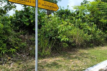 Desa Palma, Nasa City