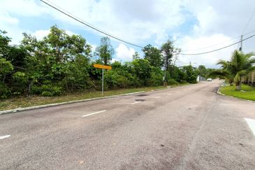 Desa Palma, Nasa City